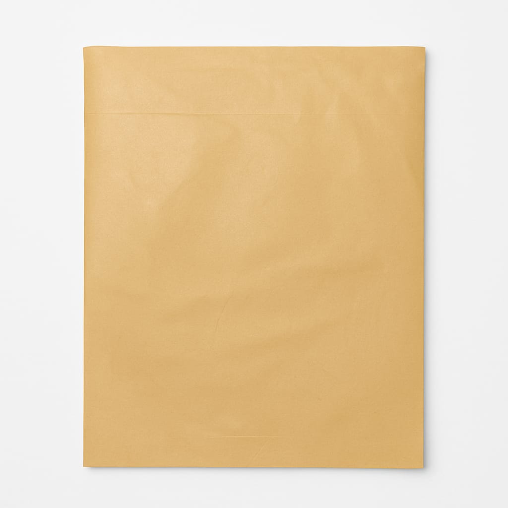 Plain Paper Courier Bag
